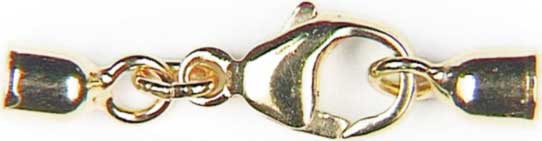 Karabiner mit Endkappen zylindrisch 2 mm