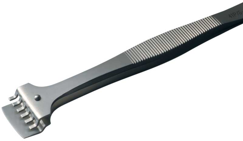 Rubis Pinzette antimagnetisch Nr.41LB-6P