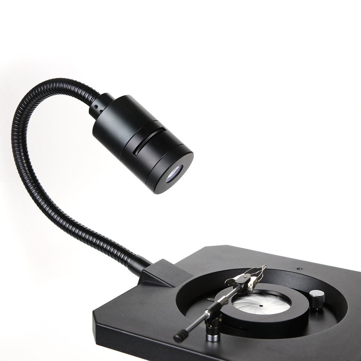 4262_NZ1902L_NZ1903L_Auflicht