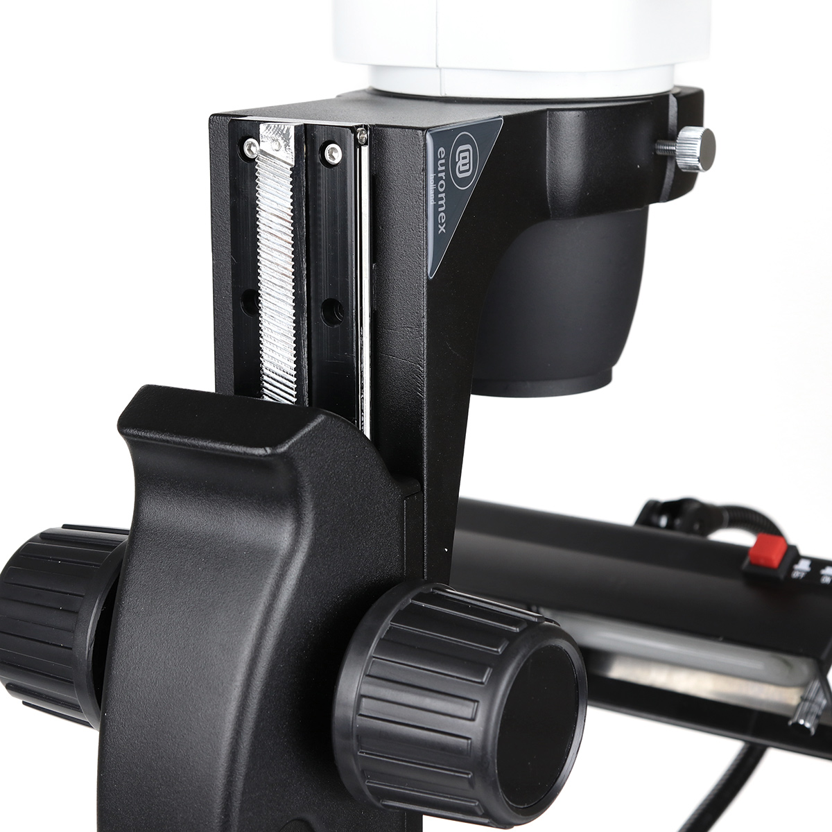 4262_NZ1902F_NZ1903F_Kopf